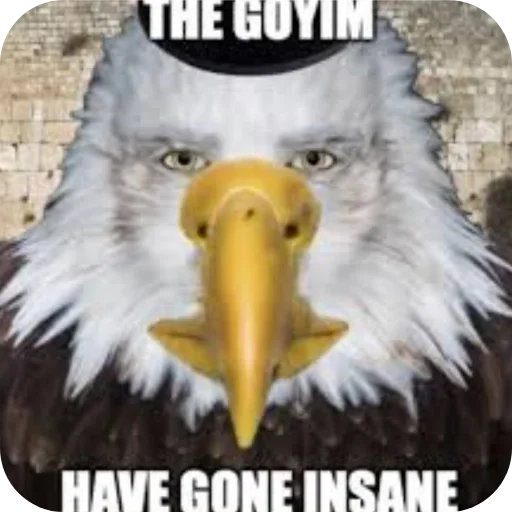 Стикер 🐦 из набора Love