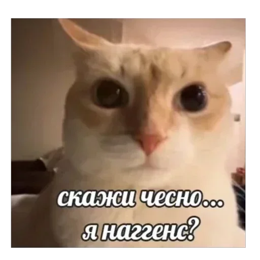 Стикер 🍖 из набора Love