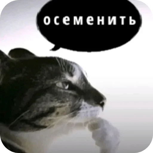 Стикер 👍 из набора Love