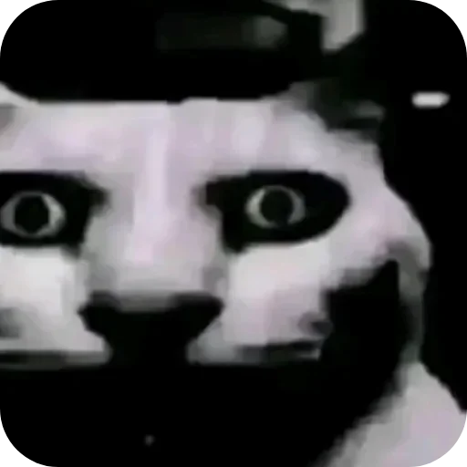 Стикер 🐱 из набора Ультимативный пак бебры