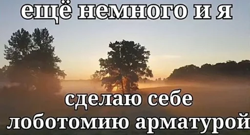 Стикер 🤩 из набора Ультимативный пак бебры