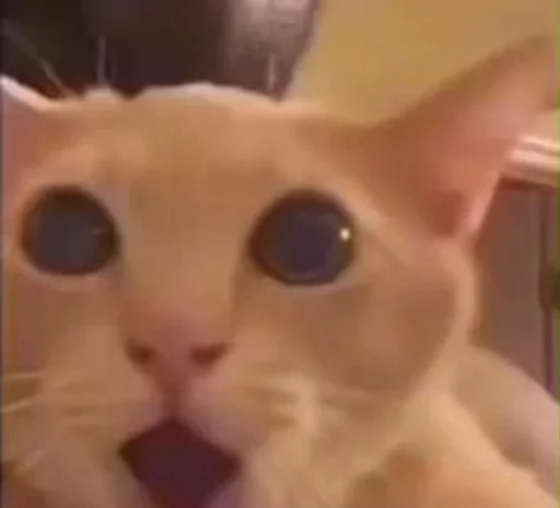 Стикер 🙀 из набора люблю изо ::