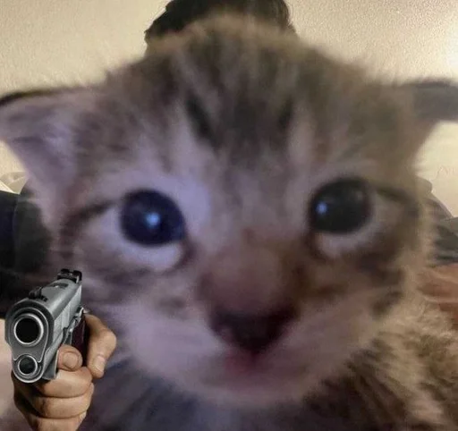 Стикер 😾 из набора люблю изо ::