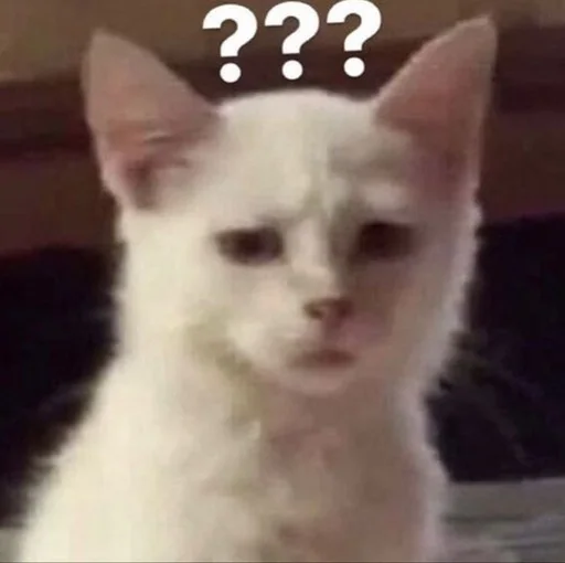 Стикер 🙀 из набора люблю изо ::