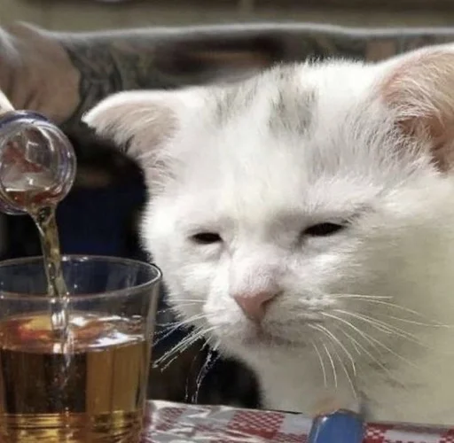 Стикер 😿 из набора люблю изо ::