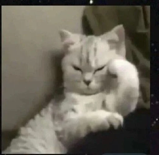 Стикер 😾 из набора люблю изо ::
