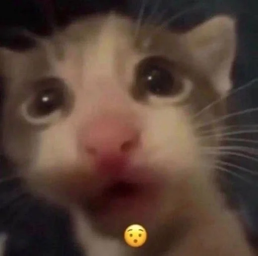 Стикер 🙀 из набора люблю изо ::