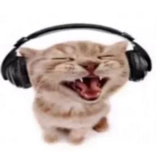 Стикер 😸 из набора люблю изо ::