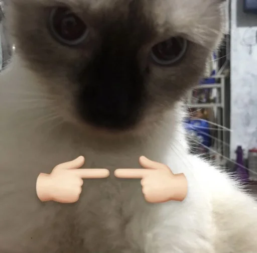 Стикер 😻 из набора люблю изо ::