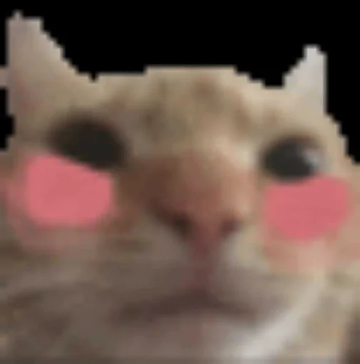 Стикер 😻 из набора люблю изо ::