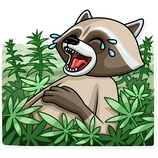 Criminal Raccoon