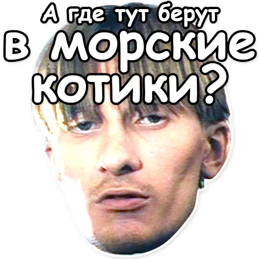 Стикер 😻 из набора Soldier Mood