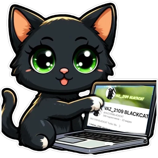 Стикер 📹 из набора Doha black cat