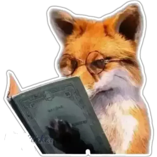 Стикер 📖 из набора Fremantle lines