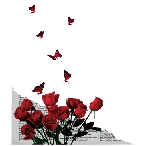Стикер 🌹 из набора Fremantle lines