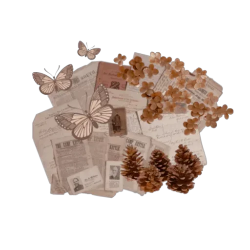 Стикер 📜 из набора Fremantle lines
