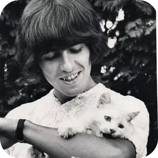 Стикер 🐈 из набора •George Harrison•