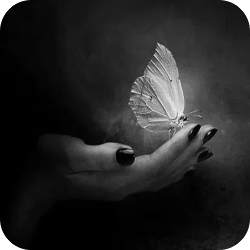 Стикер 🦋 из набора Darkness