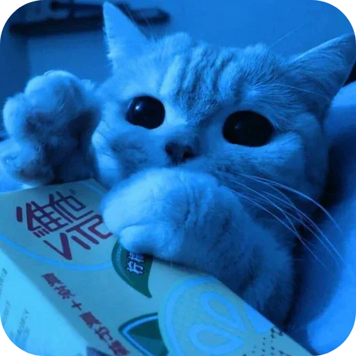 Стикер 💙 из набора Darkness