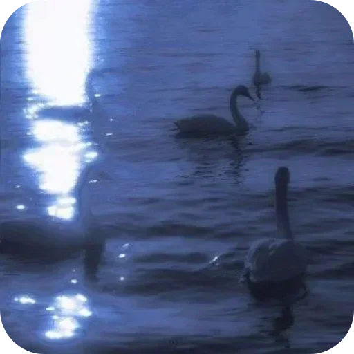 Стикер 🐦 из набора Darkness