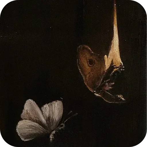 Стикер 🦋 из набора Darkness
