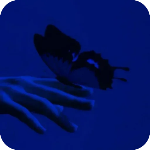 Стикер ✋ из набора Darkness