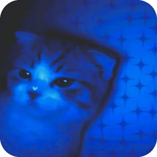 Стикер 🐱 из набора Darkness