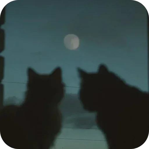 Стикер 🐱 из набора Darkness