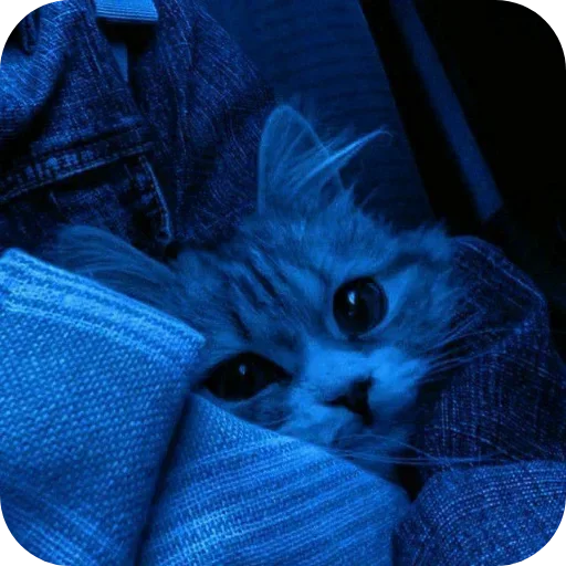 Стикер 🩵 из набора Darkness