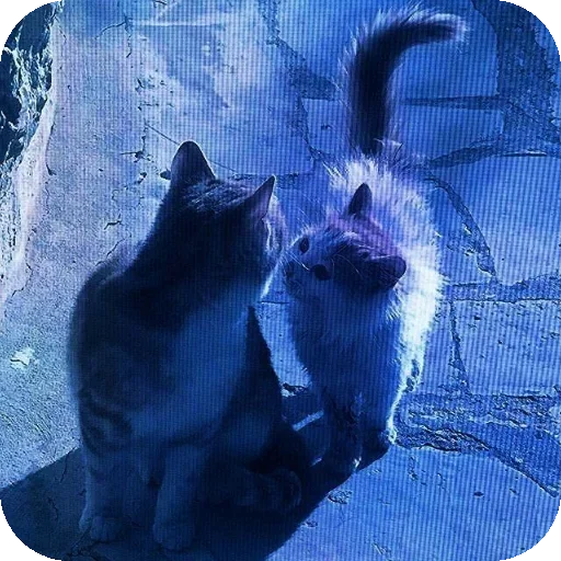 Стикер 🔳 из набора Darkness