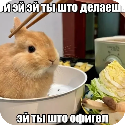 Стикер 🌟 из набора Стикерпак пидораса