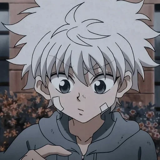 Killua ::