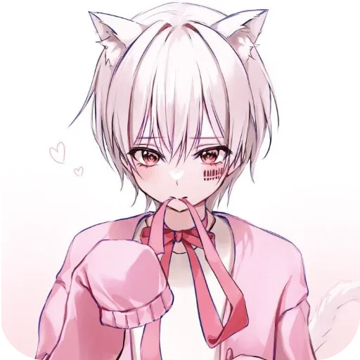 Кошкомальчики