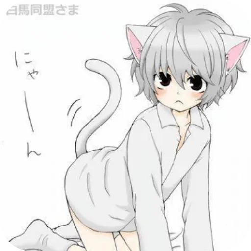 Стикер ✋ из набора Кошкомальчики