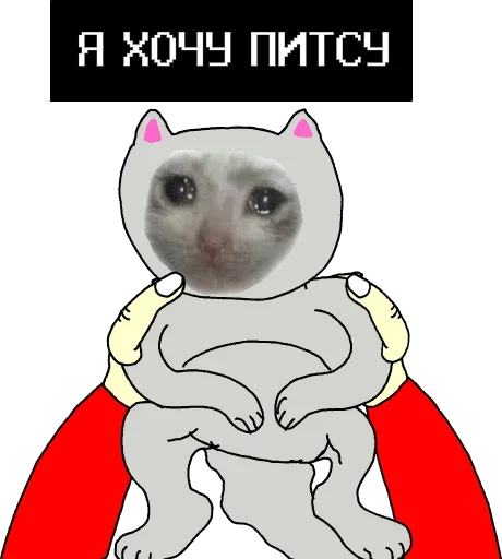 Стикер 🐈 из набора Wojac Chaos