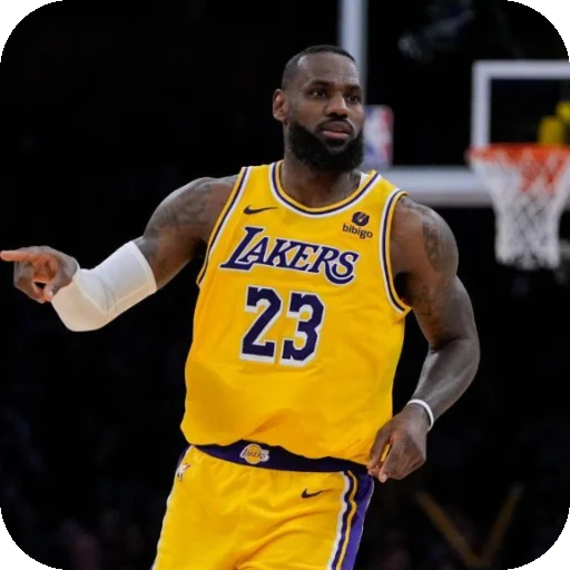 LeBron James •