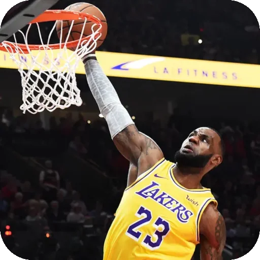 LeBron James •