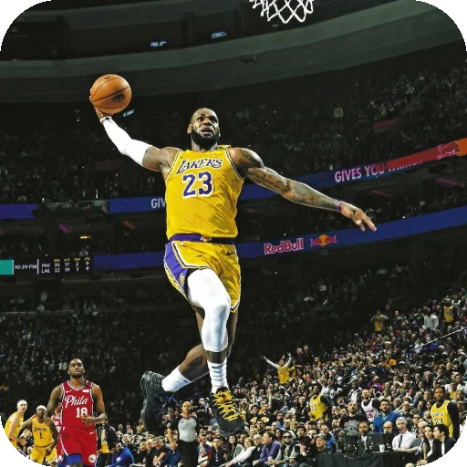 Стикер 🤾 из набора LeBron James •