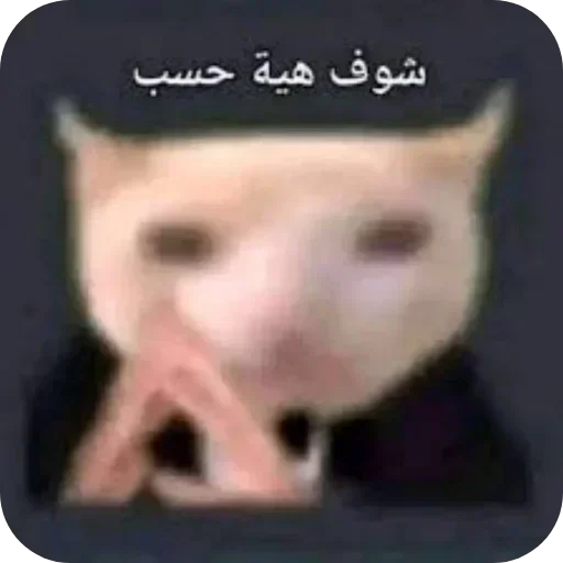 Стикер 🌞 из набора البو علي ::