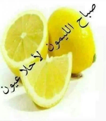 Стикер 🍋 из набора البو علي ::