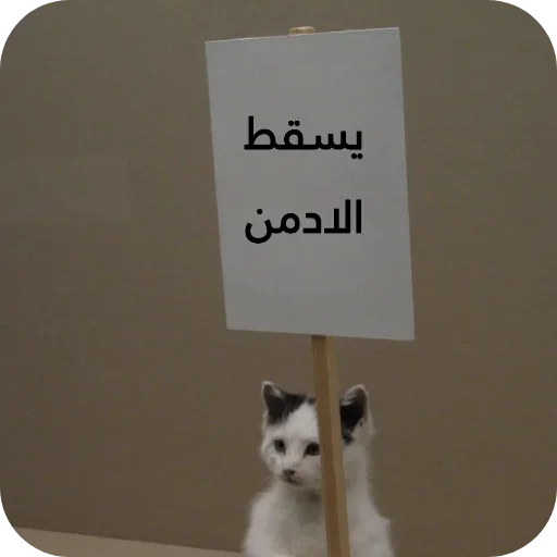 Стикер 🐱 из набора البو علي ::