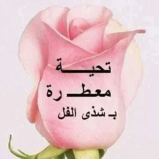 Стикер 💗 из набора البو علي ::