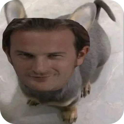 Стикер 👂 из набора 𝙶𝙰𝙱𝚁𝙸𝙴𝙻𝙻(≧◡≦)