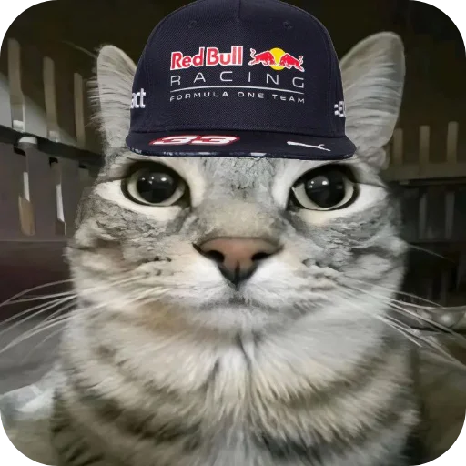 Стикер 🐱 из набора Max Verstappen