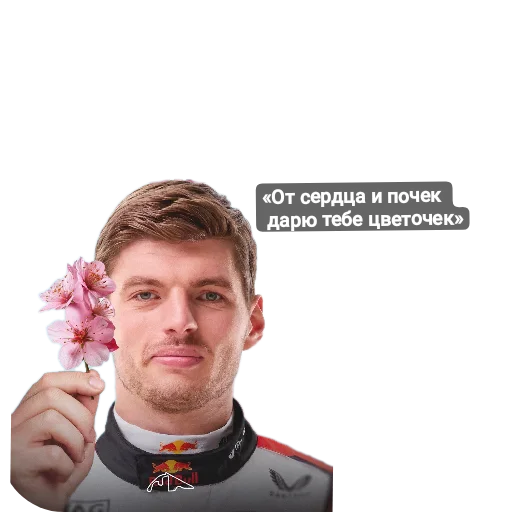 Стикер 🔥 из набора Max Verstappen