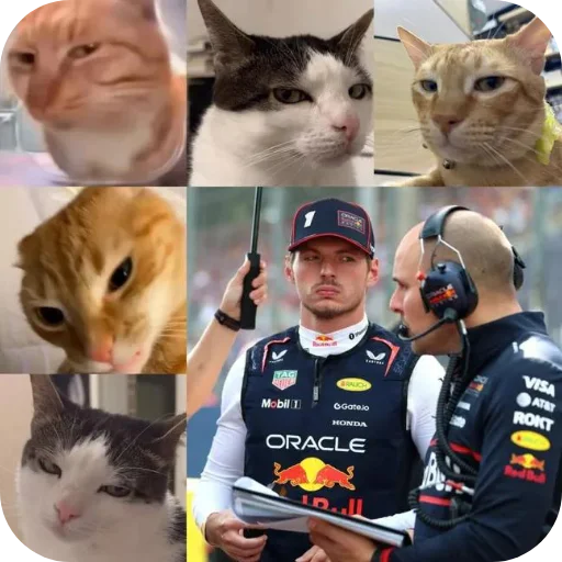 Стикер 😀 из набора Max Verstappen