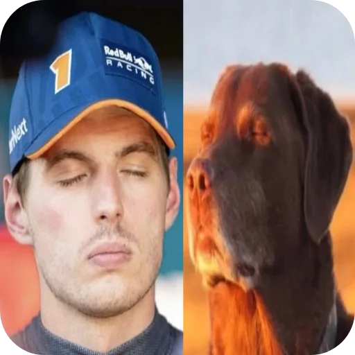 Стикер 💇 из набора Max Verstappen