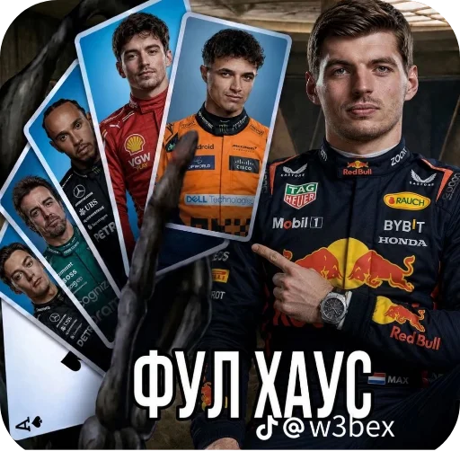 Стикер 👥 из набора Max Verstappen