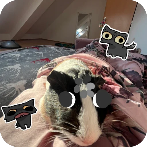 Стикер 🌀 из набора My guinea pigs