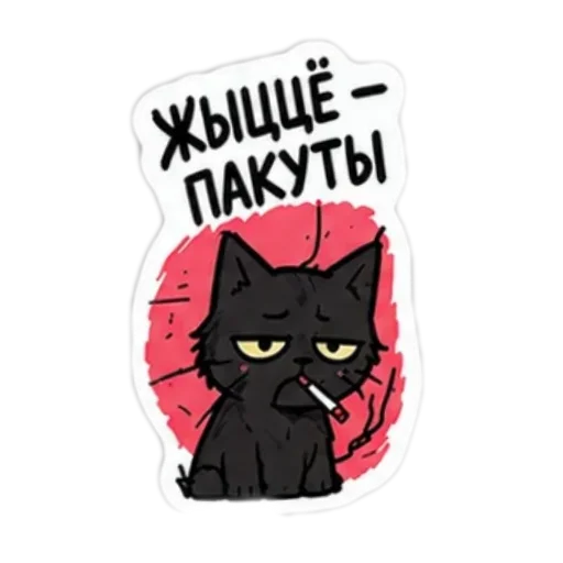 Мясцовы коцік